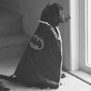 Meet your Posher, Cody